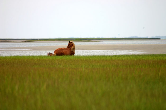 0607OBXmisc01
