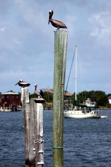 0607OBXmisc10
