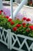 0607MACKflower04