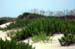 0607OBXmisc03