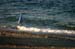 0607OBXmisc15
