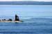 0607lighthouseJ03